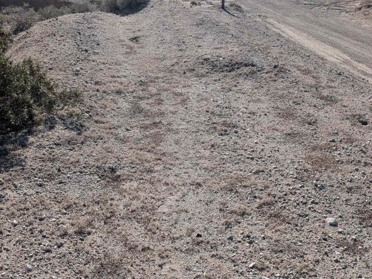 BLM 771 photo 6