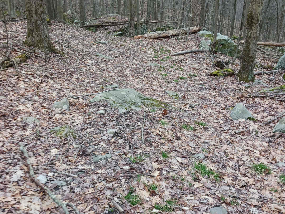 OHV 63 - Rock Run Recreation Area photo 2