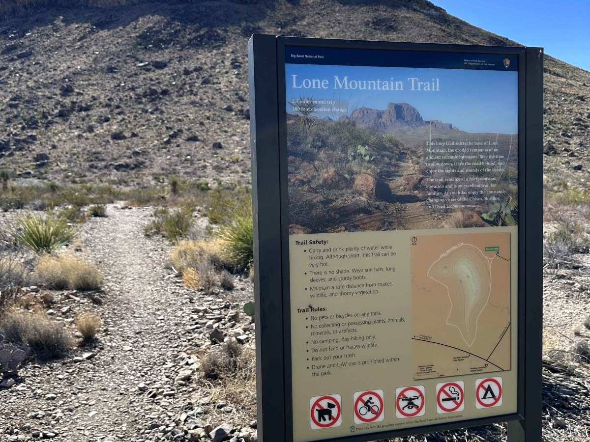 Lone Mountain Trail photo 6