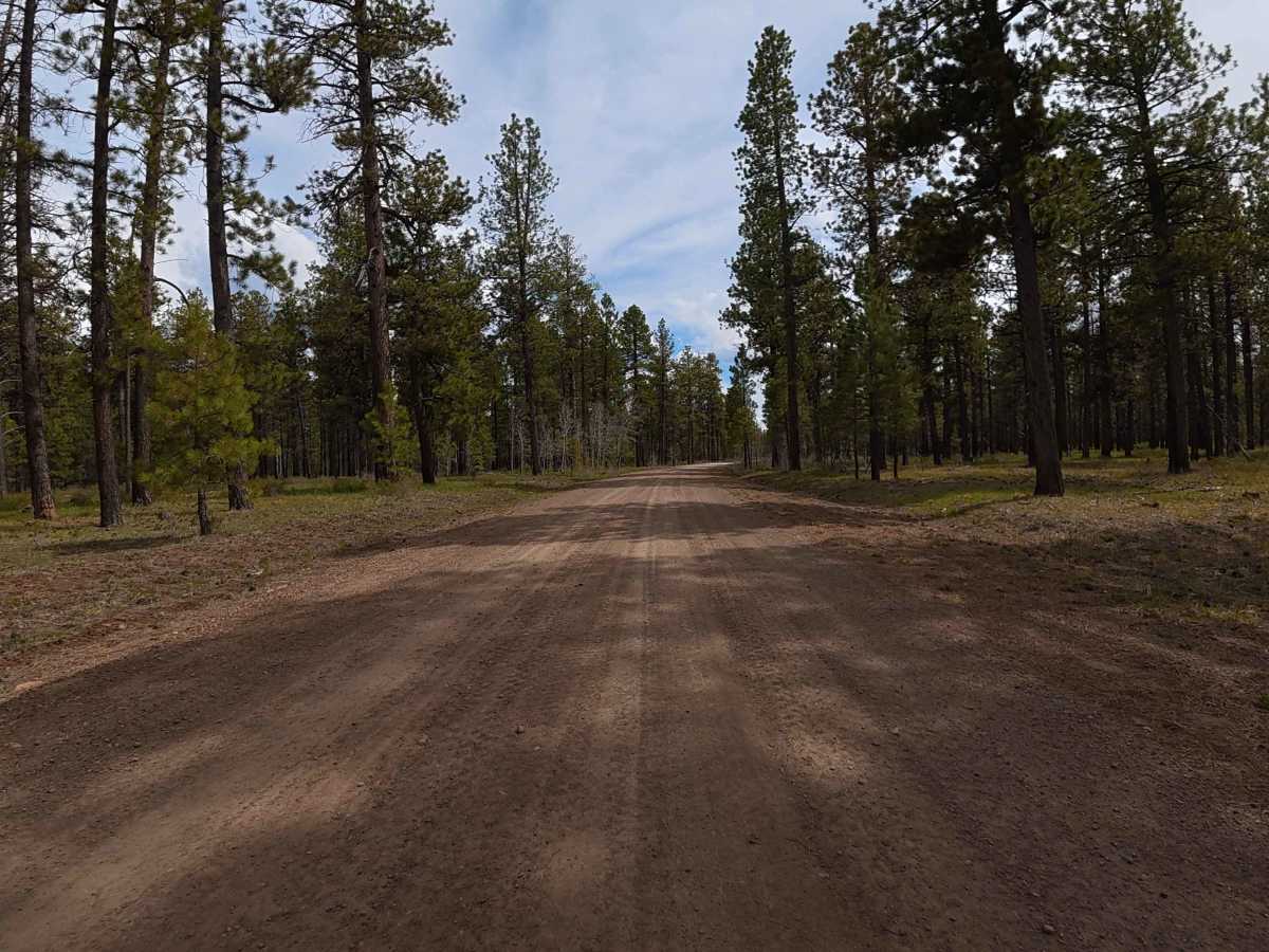 Cottonwood Road - FS 504 photo 3