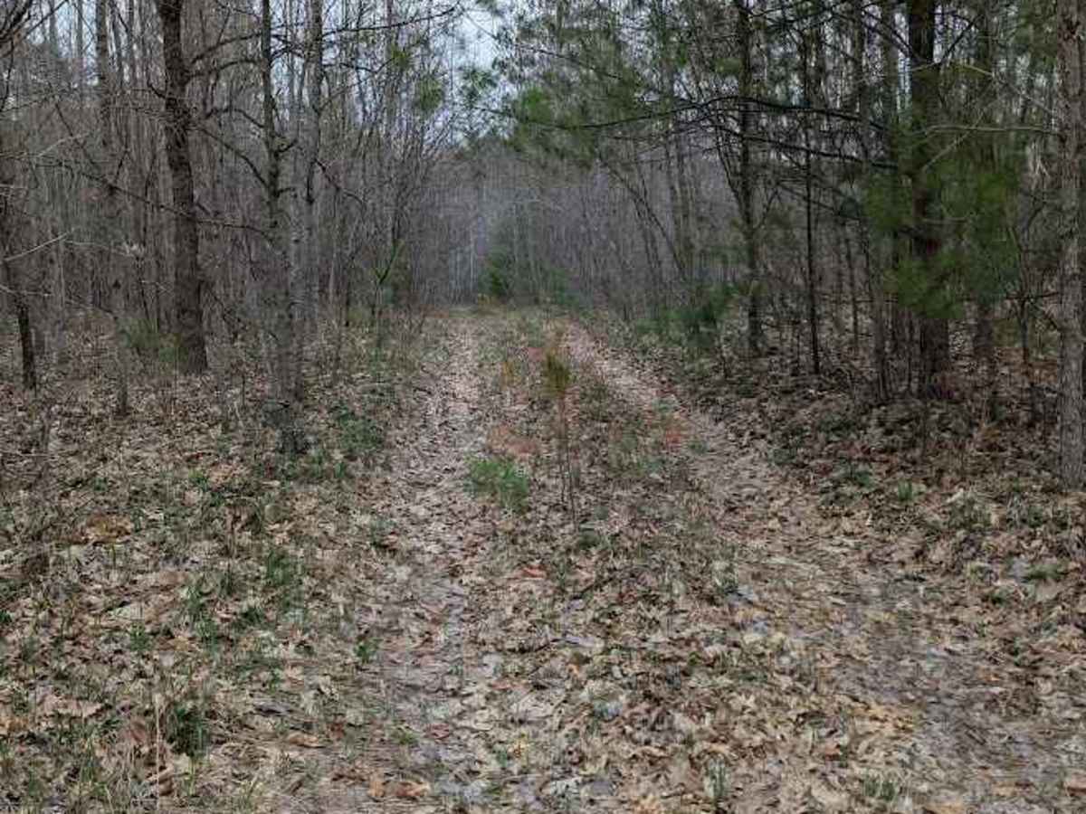 Harrison Loop trail photo
