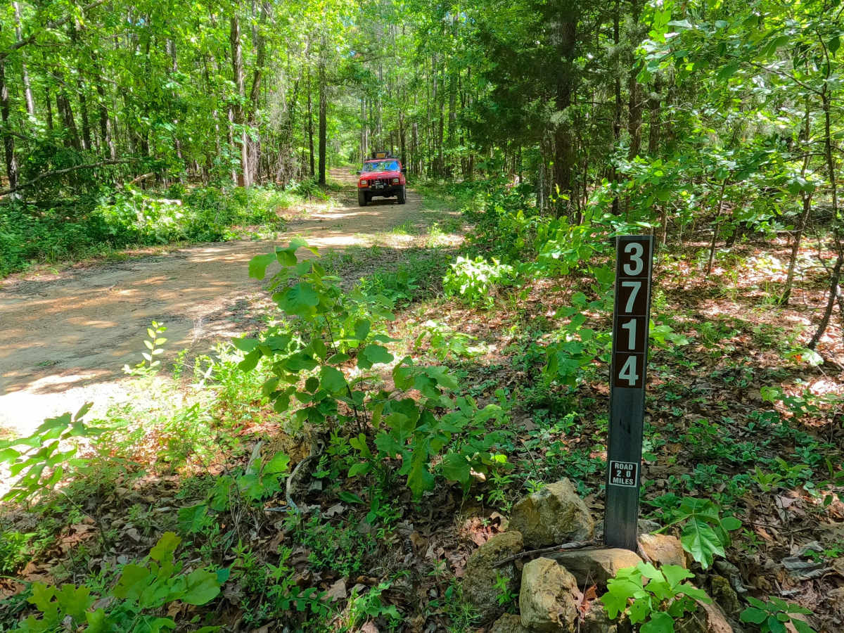 Grassy Hollow - FS 3714 photo 2