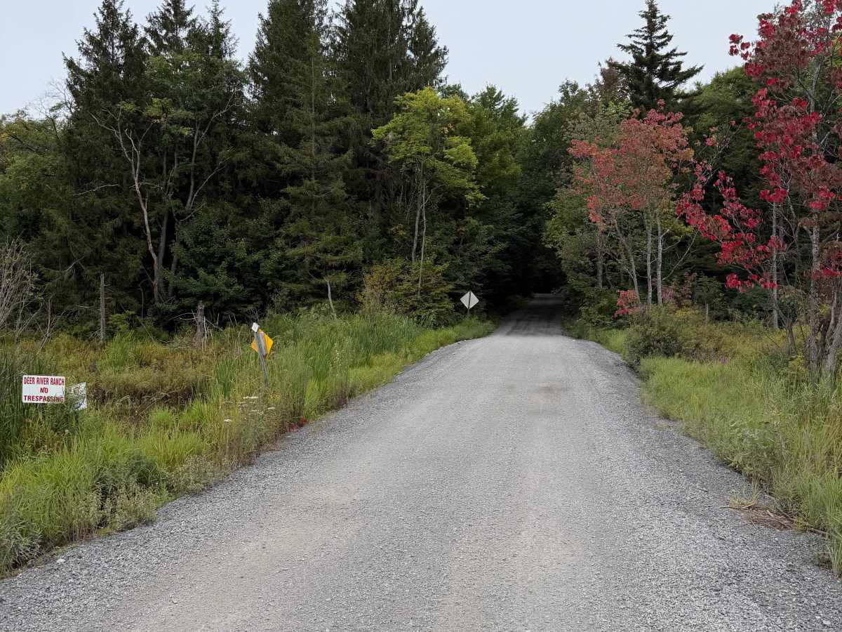 Carey Road photo 3