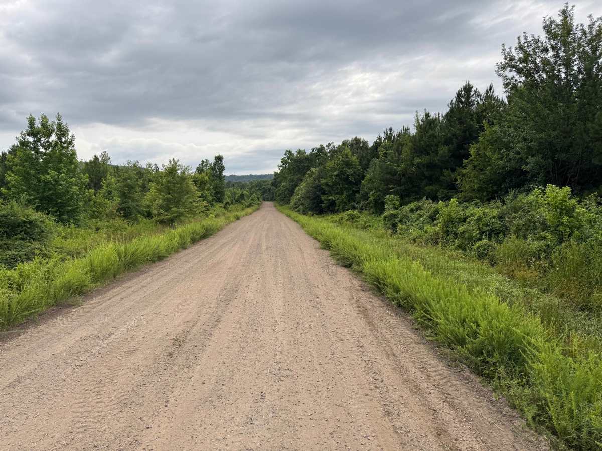 Ross Mountain trail photo