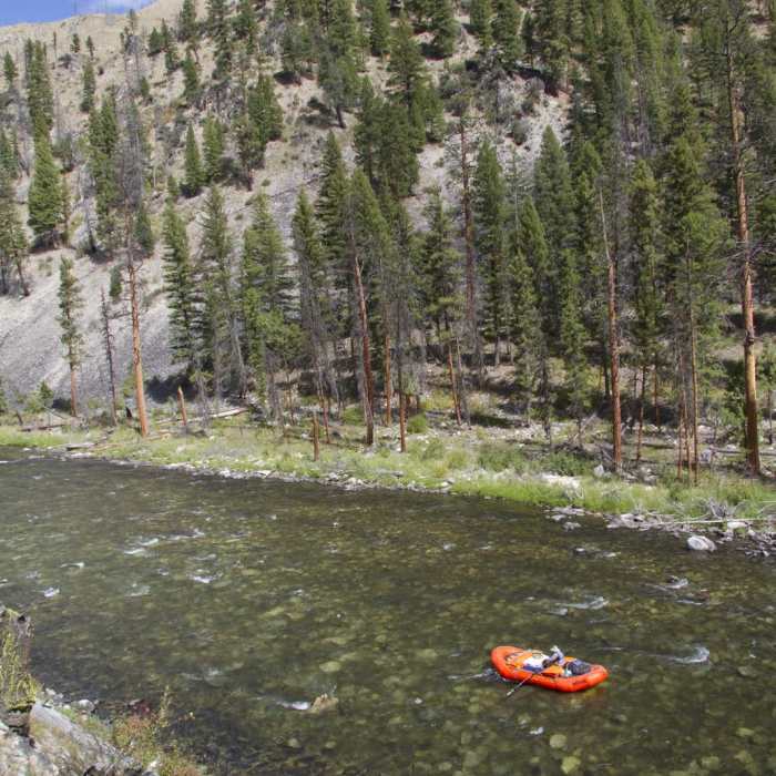 Near Middle Fork of the Salmon River Trail a Day 2
