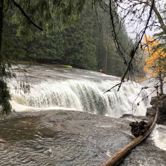 Near Lewis River Trail #31