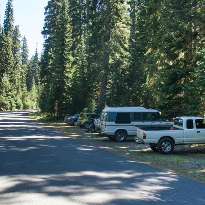 Near Yoran Lake Trail