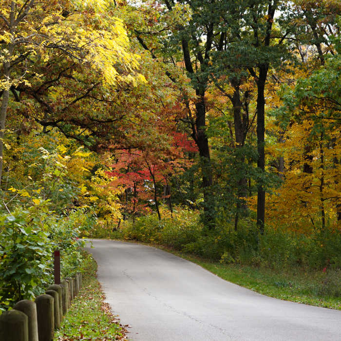 Near Morton Arboretum Loop
