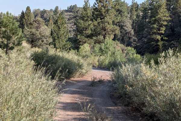 By Day Creek - FS 32076