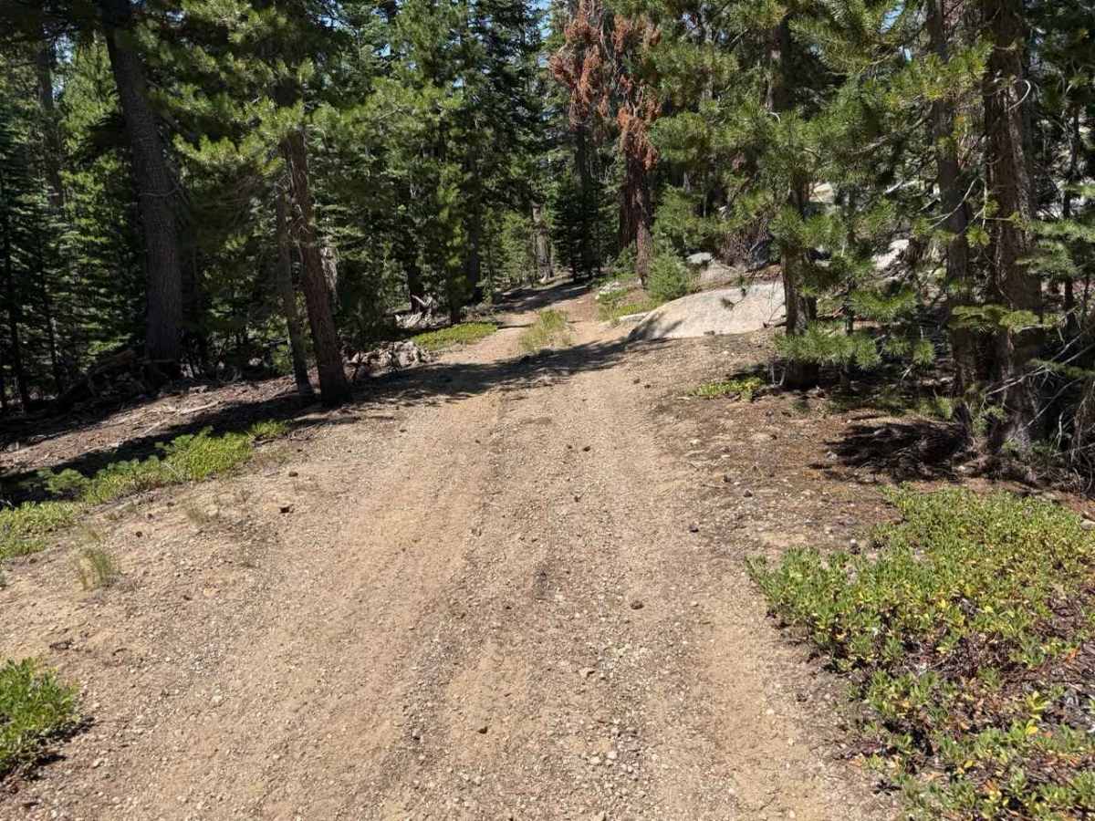 Burnside Spur - FS 31205A photo 5