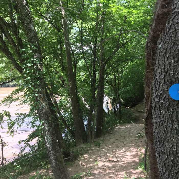 Near Horne Creek Trail