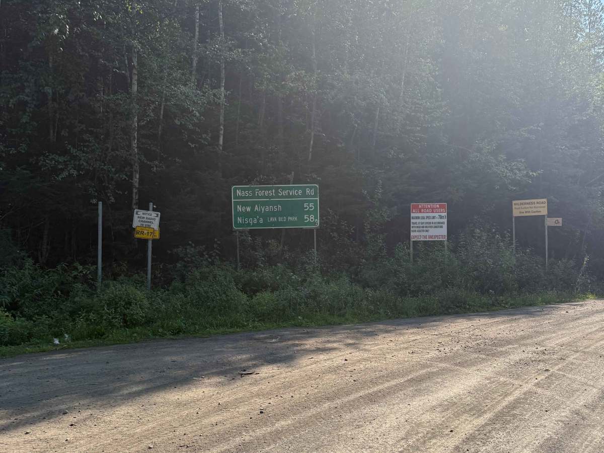 Cranberry Forest Service Road photo 5