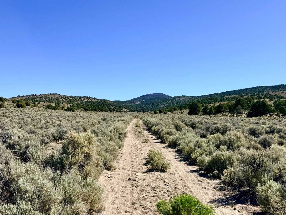 Horse Heaven Canyon trail photo