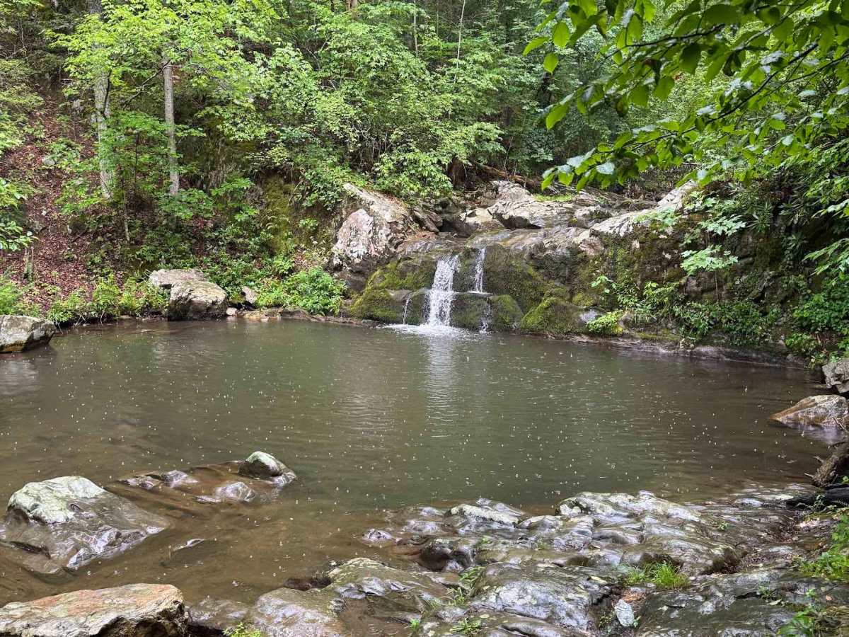 Gilmore Hollow trail photo