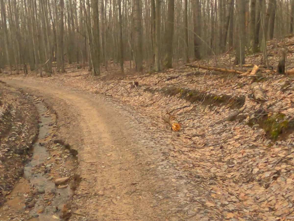 ORV H57 : Mack- McKinley Trail photo 4