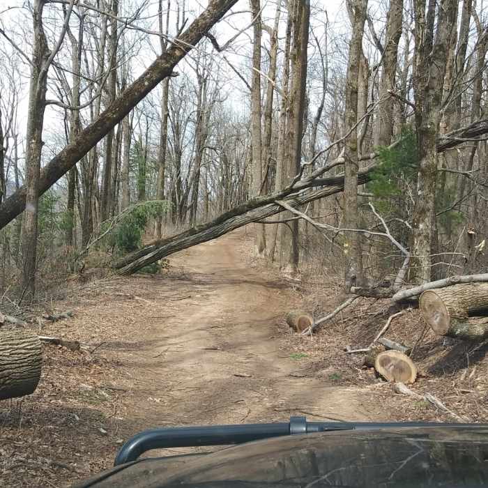 Near Roper Hollow Road