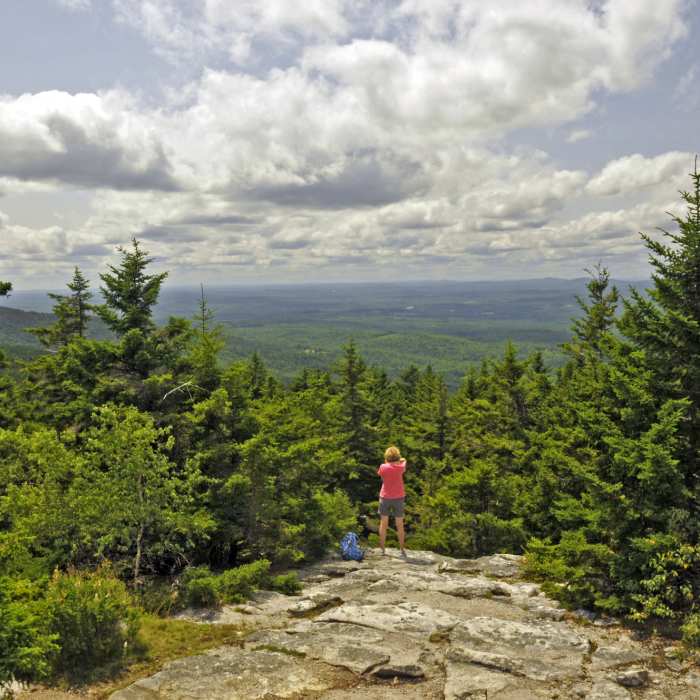 Pack Monadnock Summit Near Wapack and Back