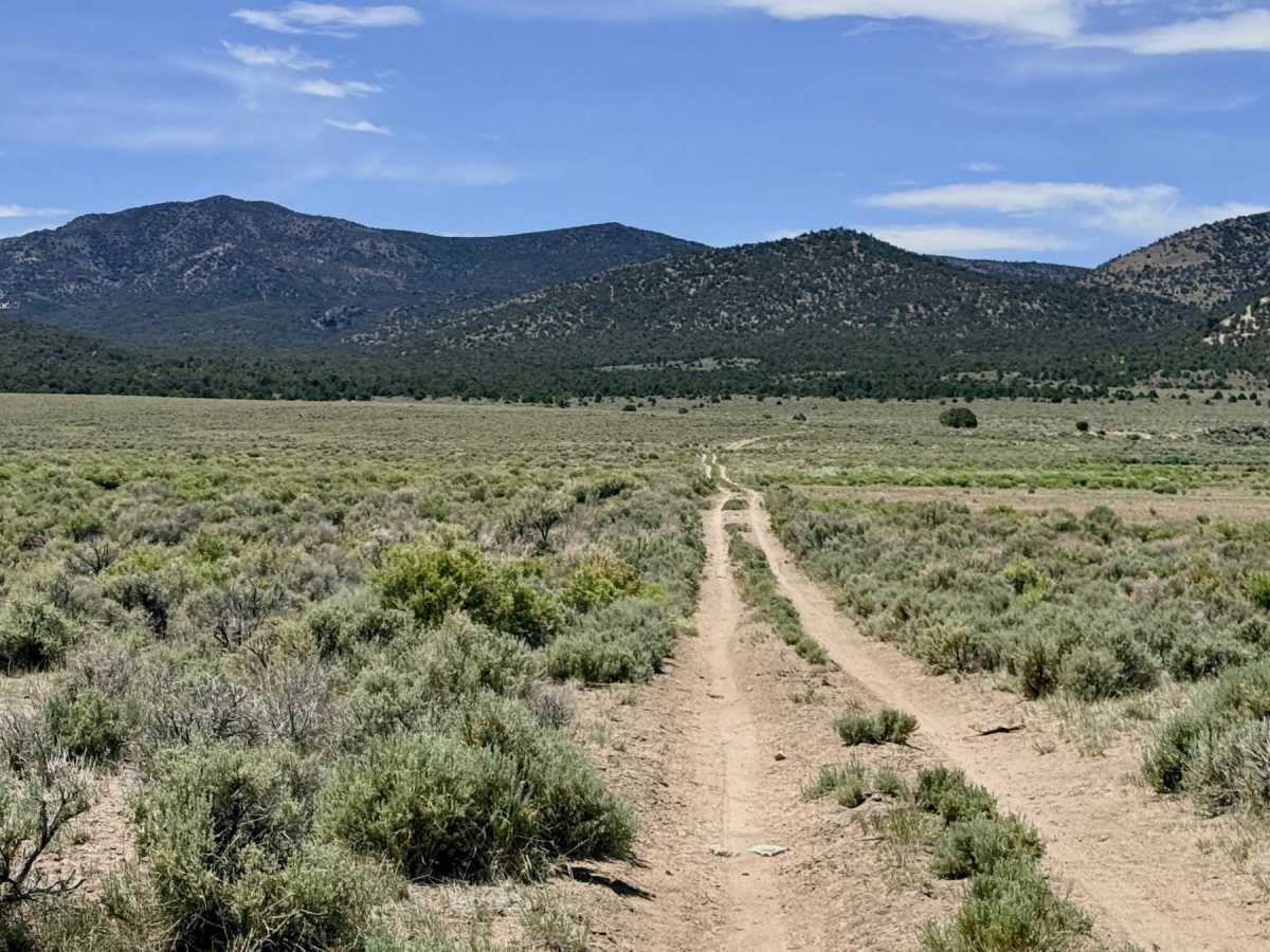 Sequra Reservoir FS43358 photo 5