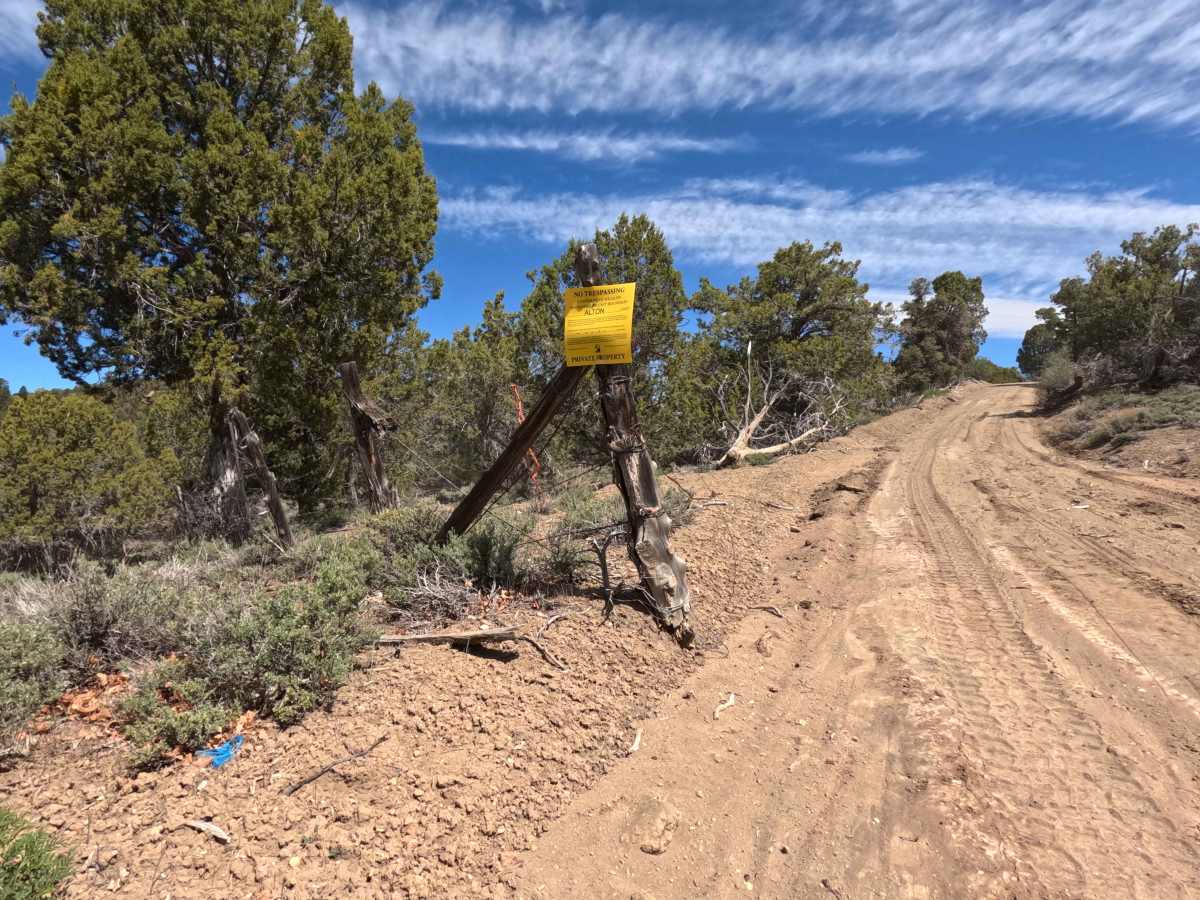 BLM 115 photo 3