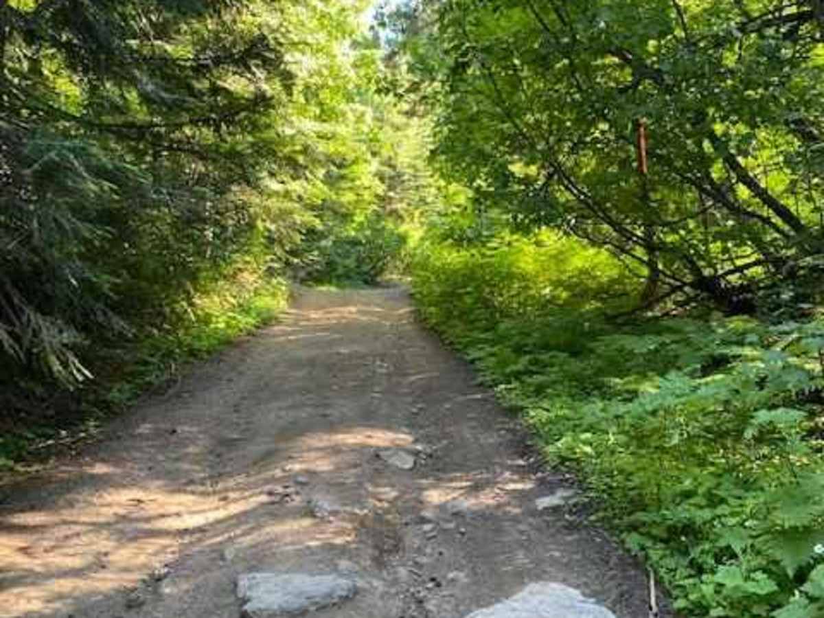 Moscow Mountain Lookout photo 3
