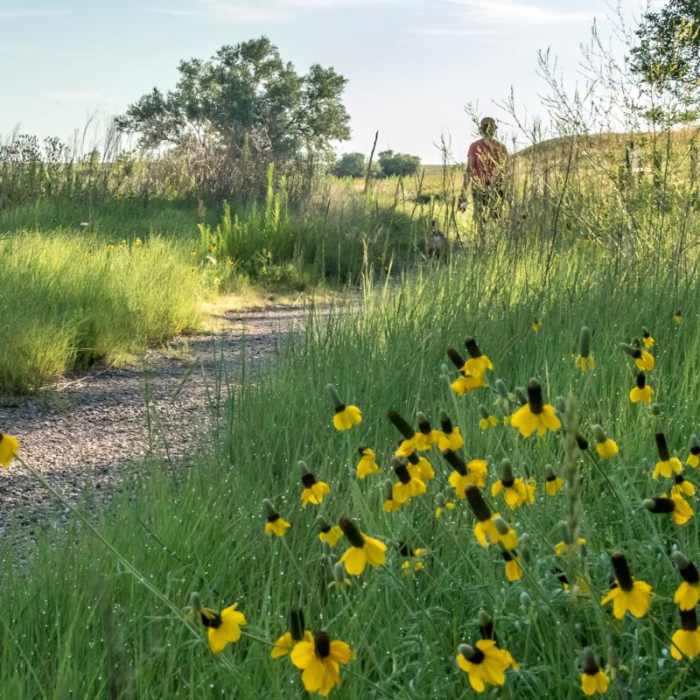 Near Trail of the Mourning Dove Near Trail of the Mourning Dove
