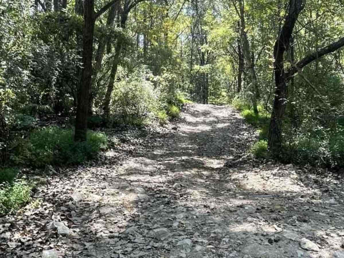 Trail 5 BF Goodrich Trail photo 4