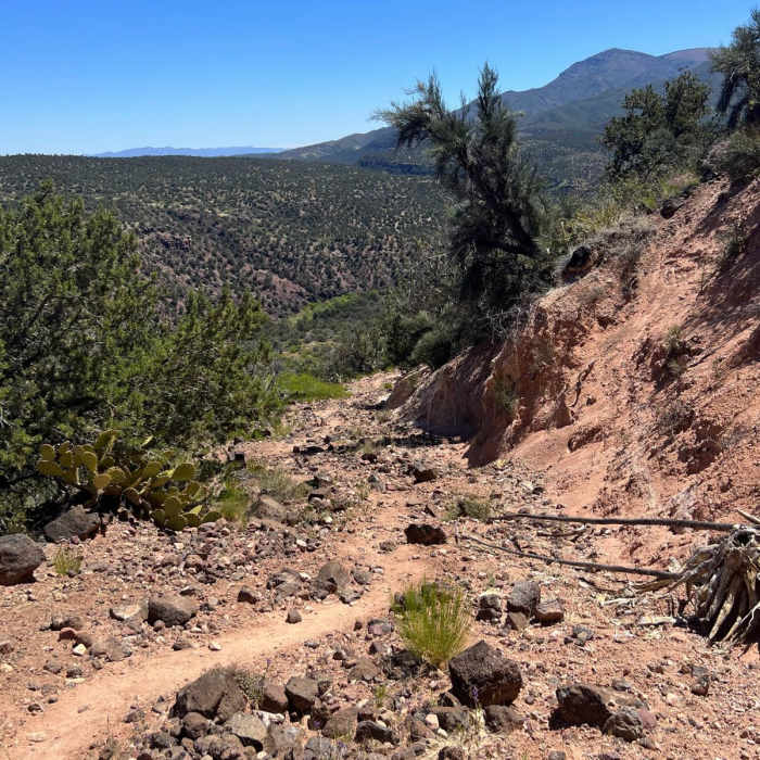Near Arizona Trail Passage 25: Whiterock Mesa