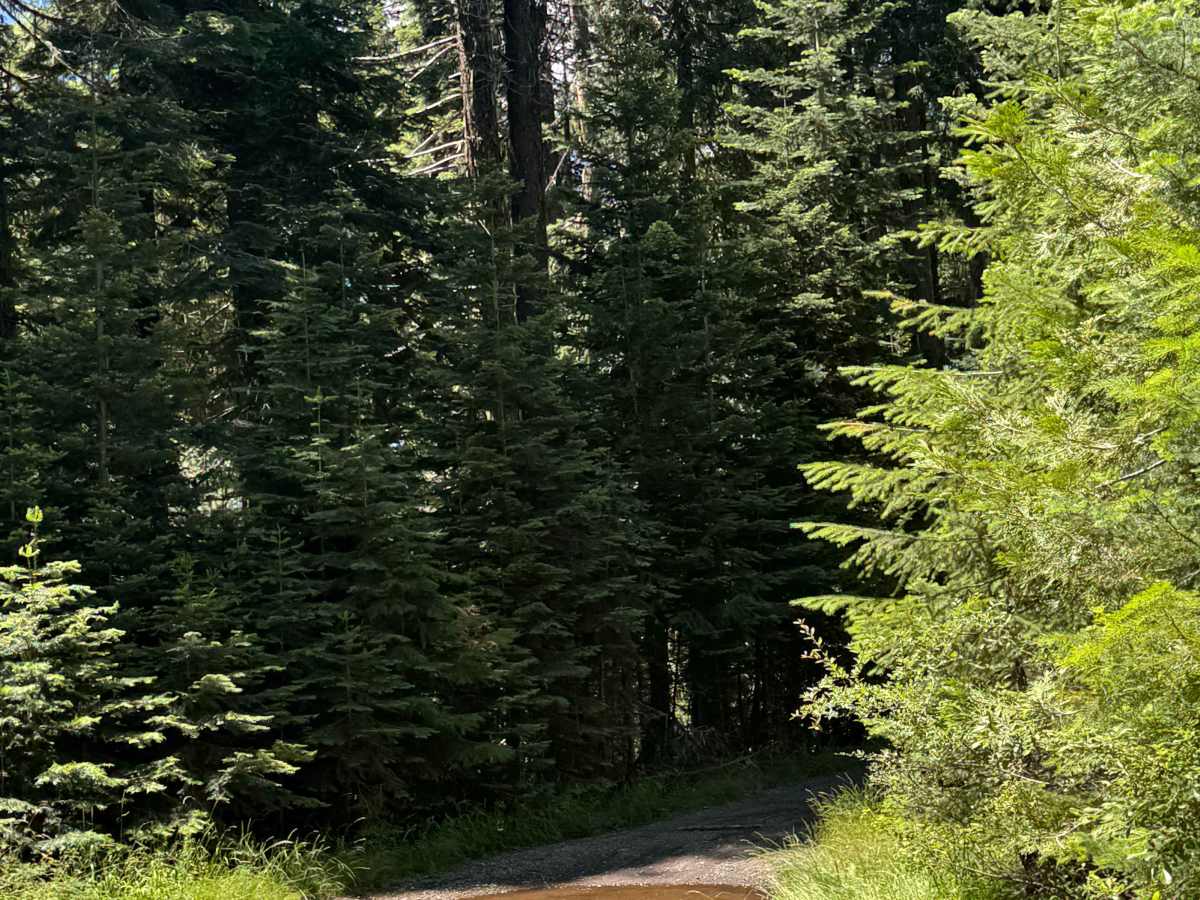Rabbit Ears - OHV 25 Loop photo 3
