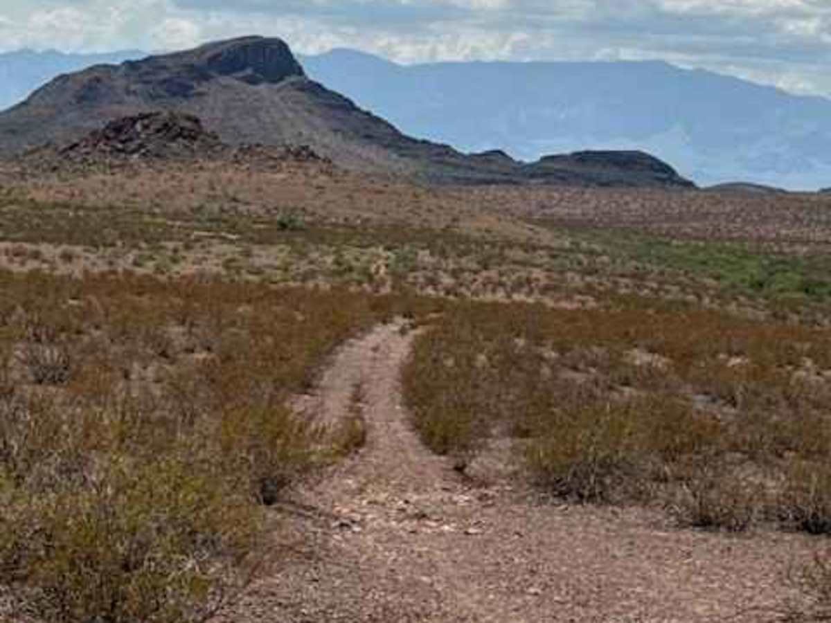 BLM PE1141 photo 6