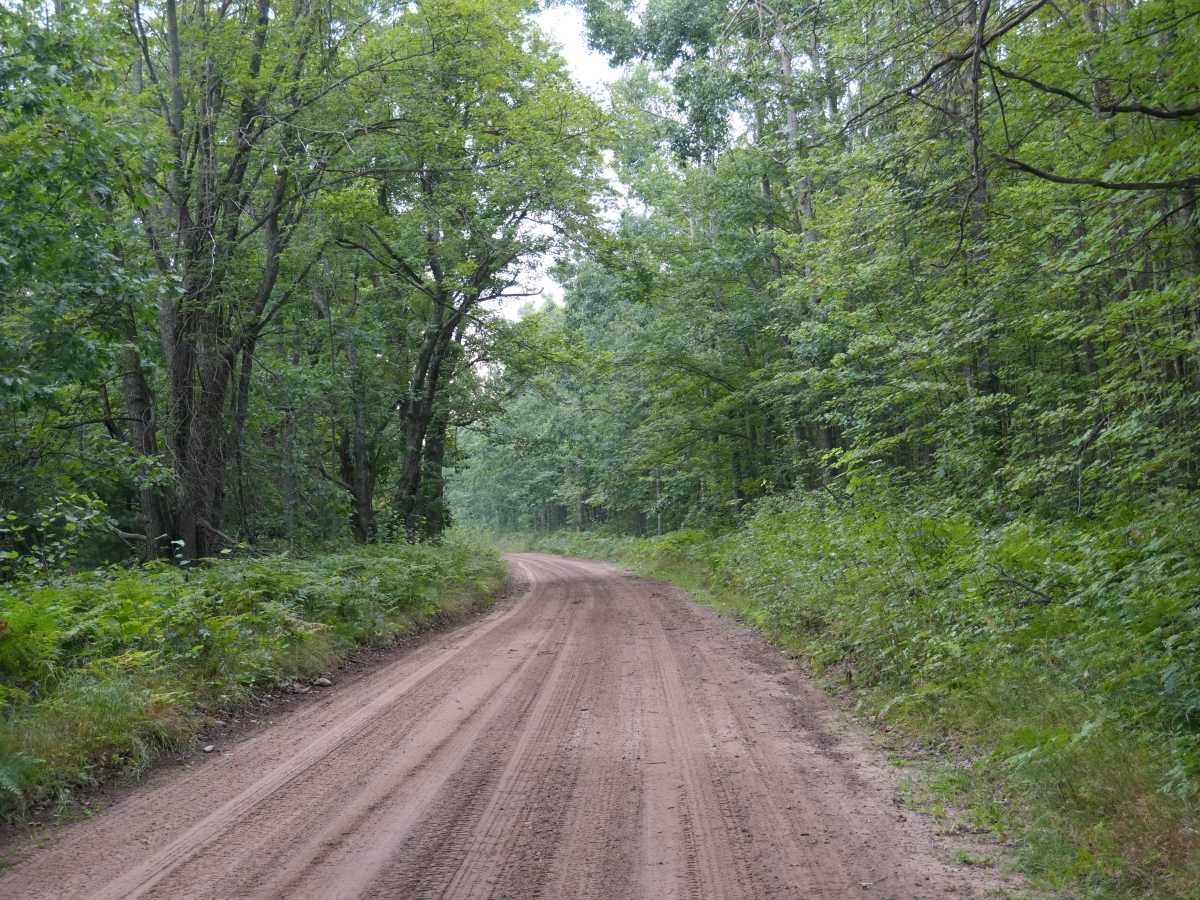 Brush Creek Truck Trail photo 3