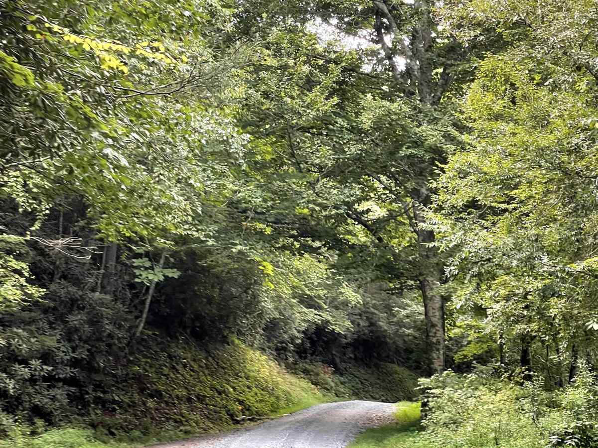 Shallow Creek Road photo 4