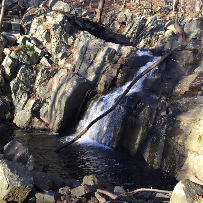 Near Falling Waters Trail