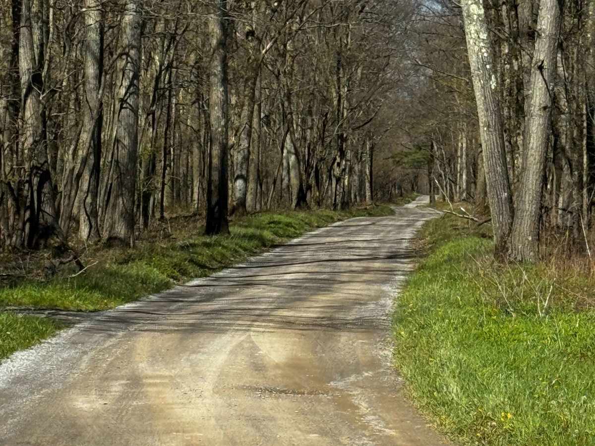 Dubeck Road photo 3