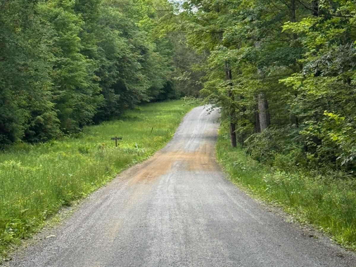 Billy Lewis Road photo 3