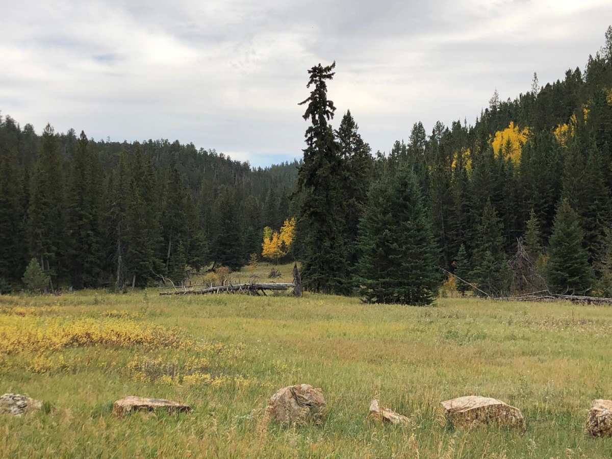 Beaver Creek Road(FS 111) photo 3