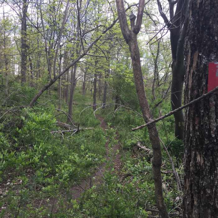 Near Blauvelt Northern Loop