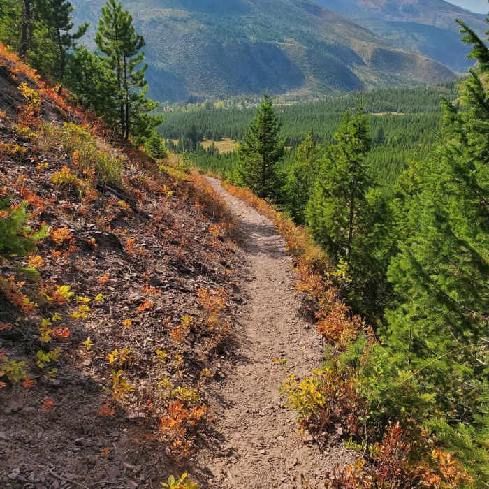 Coming back from the falls looking over a bit of the valley. Near North Fork Blackfoot Falls There and Back