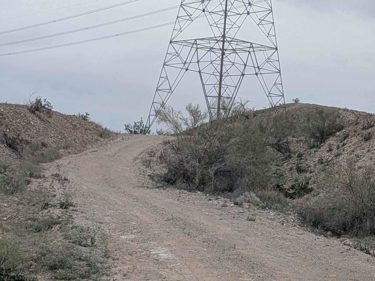 EC1230 photo 2