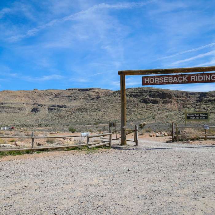 Near Las Vegas Overlook Trail