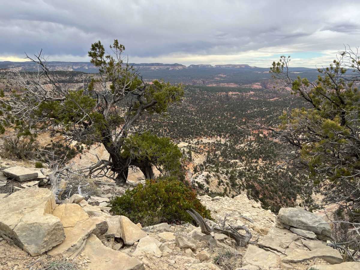 Poverty Gulch Overlook trail photo