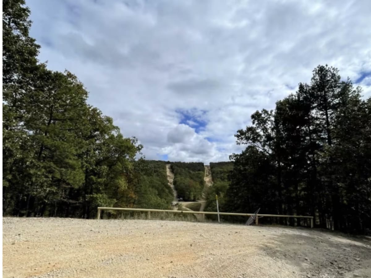 A24 Brandon's Run photo 3