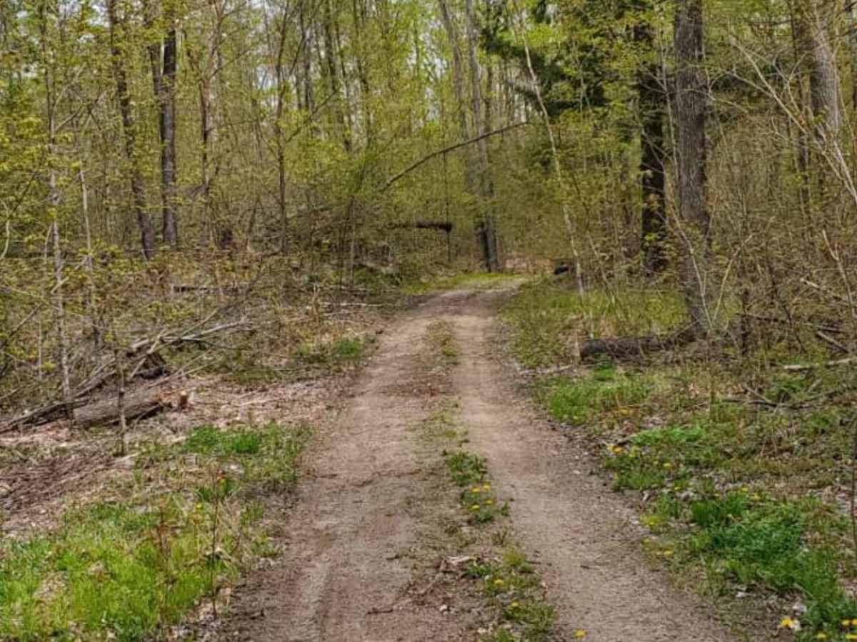 Brady Trail photo 5