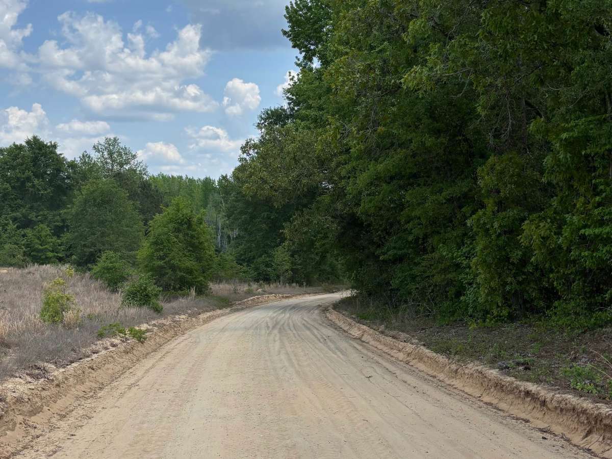 Shag Road  photo 6