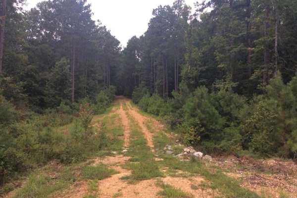 HCNF Woodlawn Trail