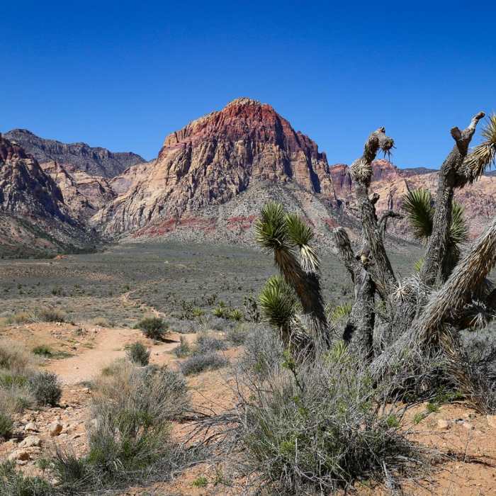 Near Oak Creek Canyon Trail