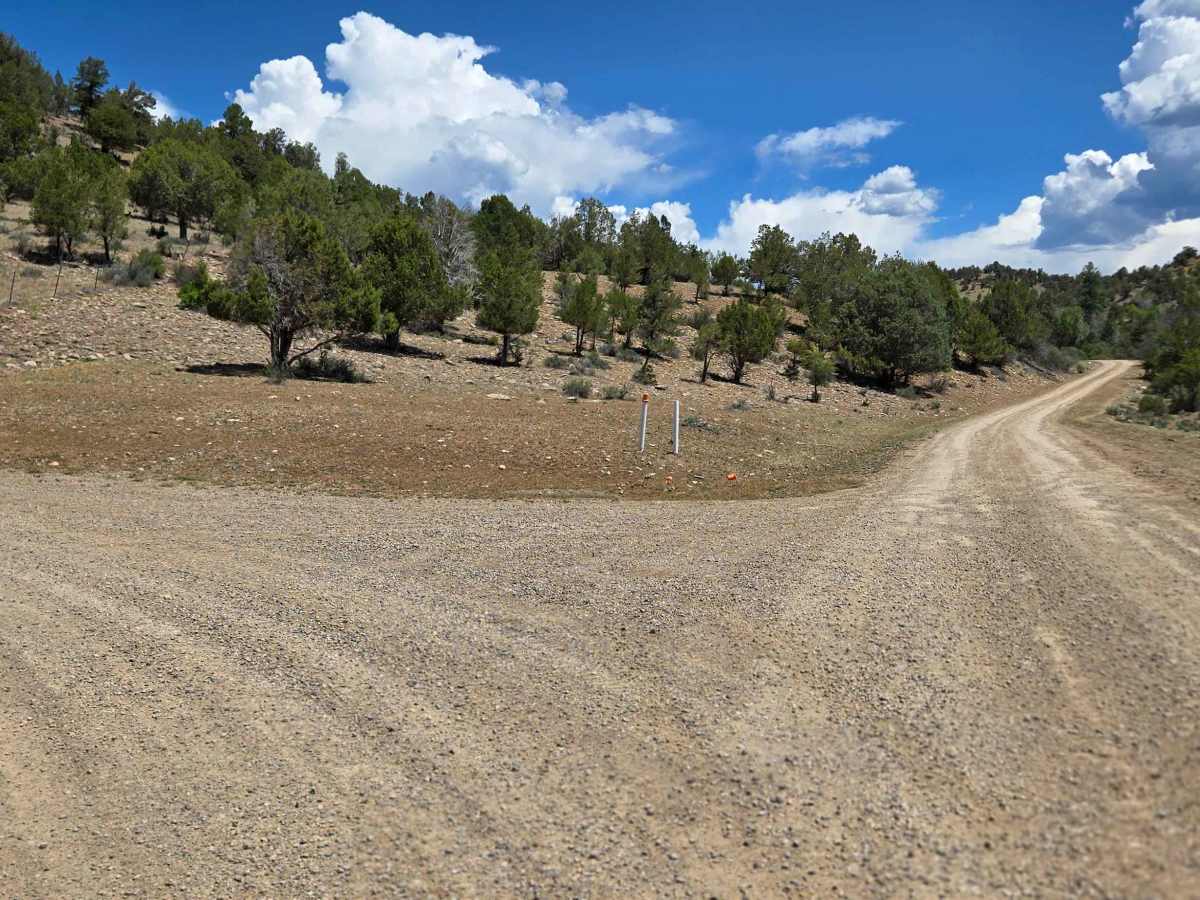 Turkey Creek A Road - FS 615 trail photo