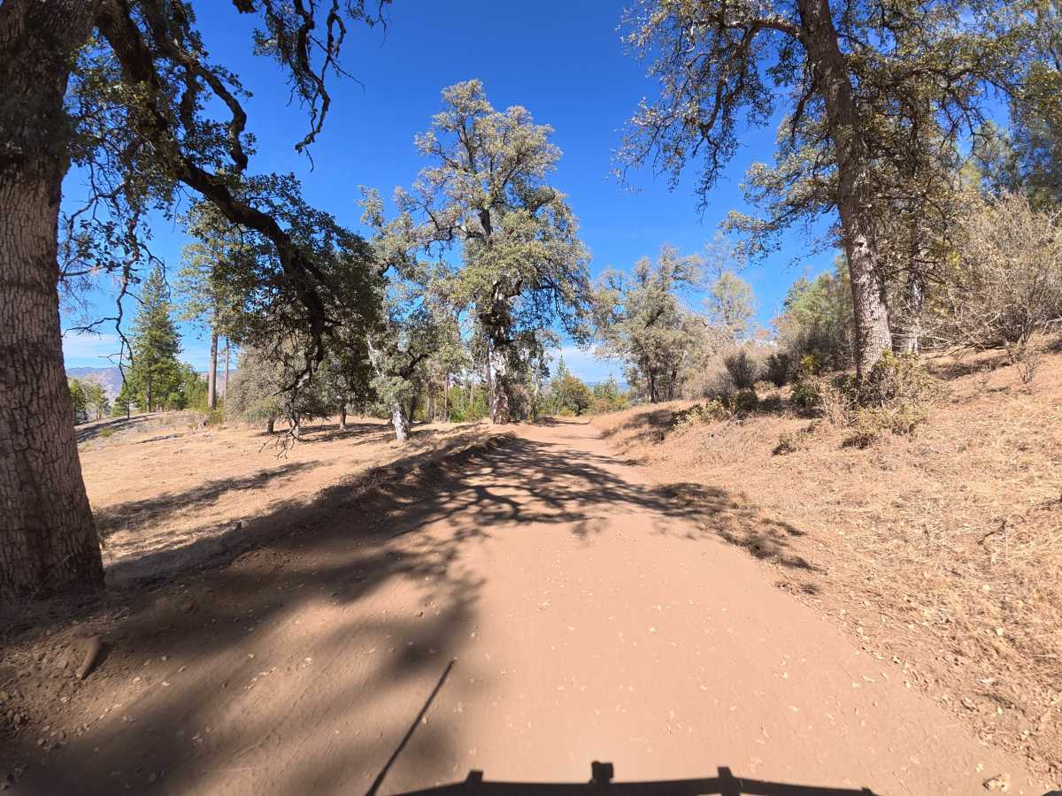 FS 1S08Y trail photo