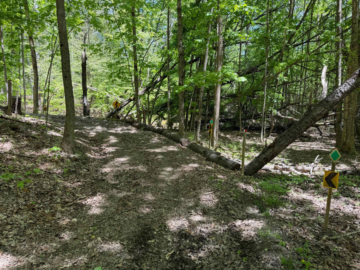 Grower Green Trail East - 3 photo 3