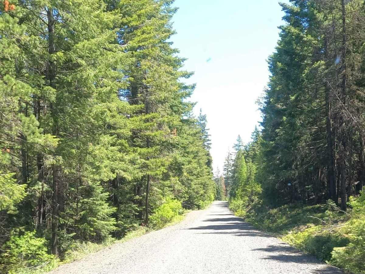Manastash Road - NF3100 photo 4
