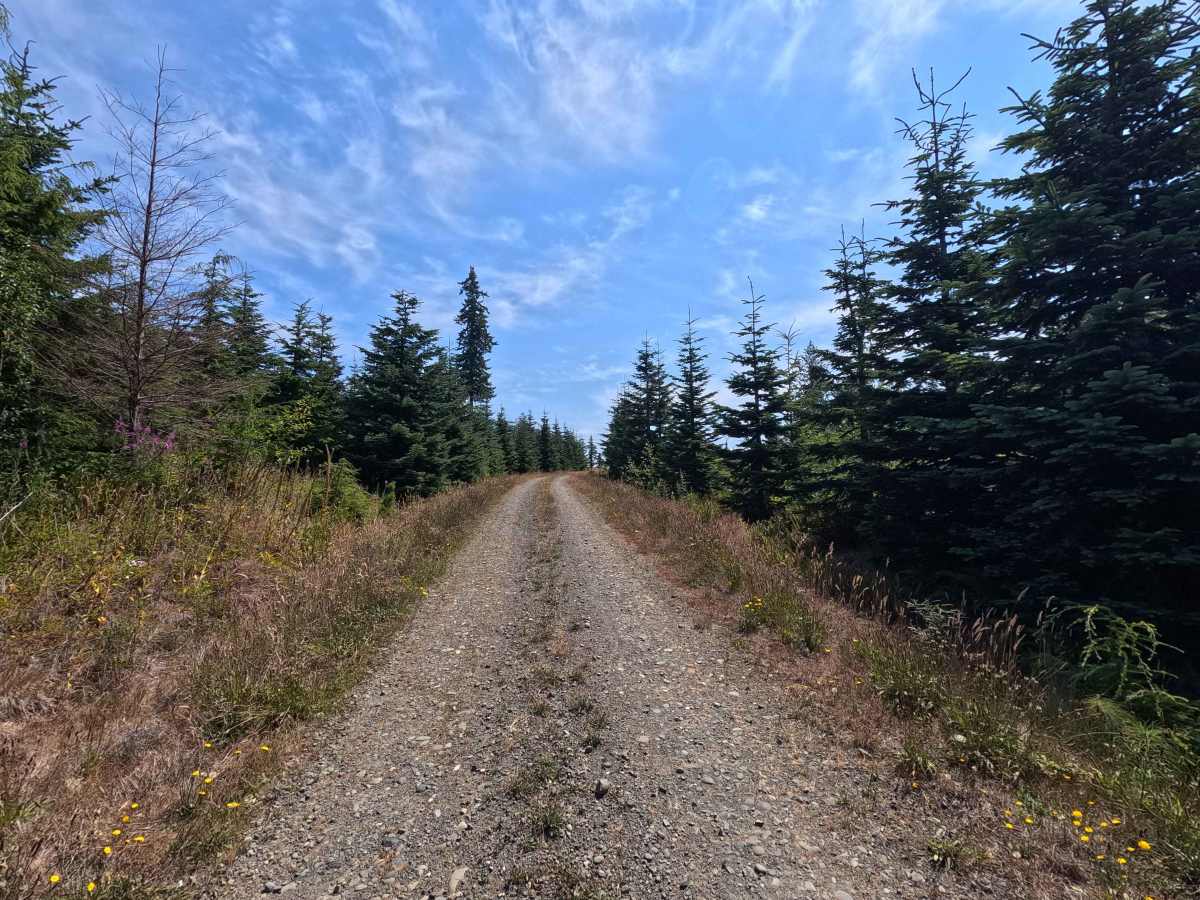 East Twin River Road photo 5